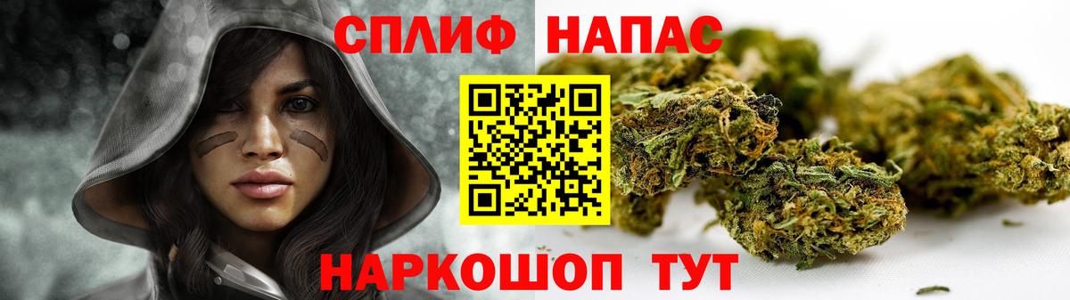 Димитровград  Каннабис конопля  Вход с VPN  Каннабис план  Бошки марихуана Ganja 